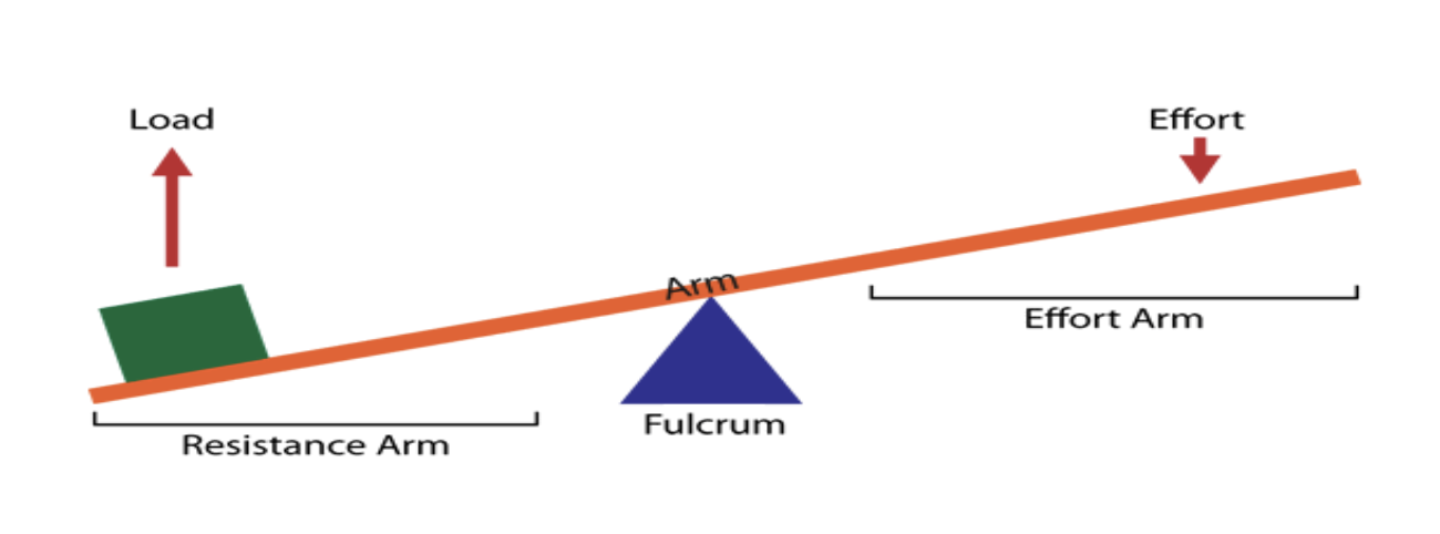 Lever diagram showing the load, fulcrum, effort arm, and resistance arm