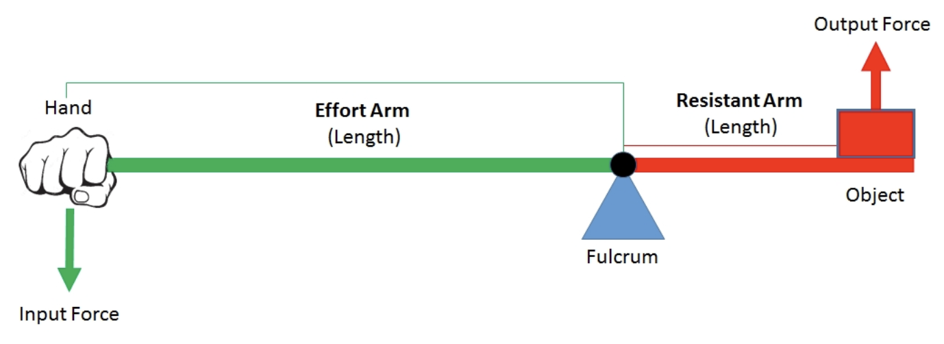 Lever diagram showing hand, effort arm, resistant arm, fulcrum, object, input force, and output force