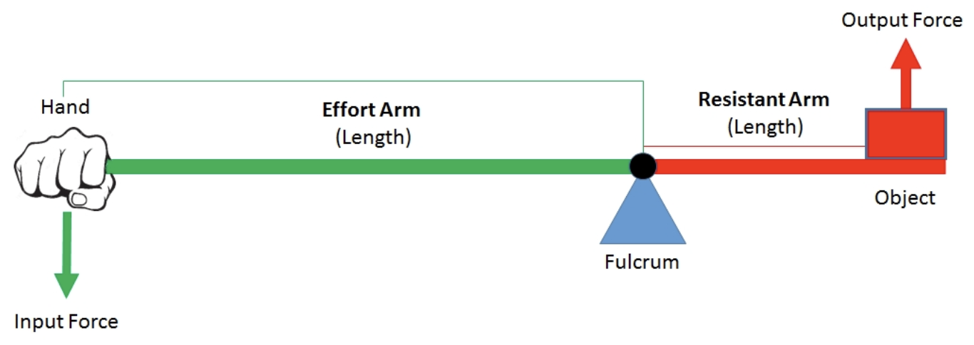 Lever diagram illustrating the SMMA model